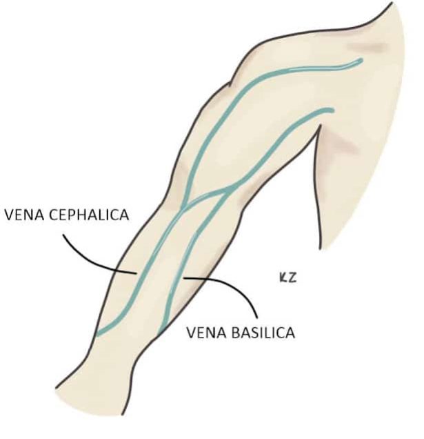 CEPHALIKABASILICA